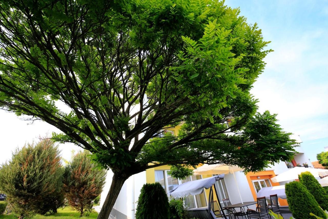 Stayinn Rainbow Houses Beachfront By Asteri Hotels Pantai Sunny Luaran gambar